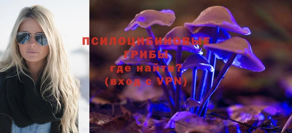 сатива Горняк