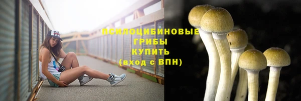 меф Алзамай