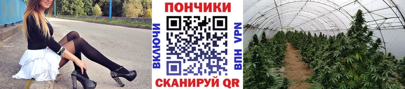 купить наркотики сайты  Аткарск  Канабис White Widow 
